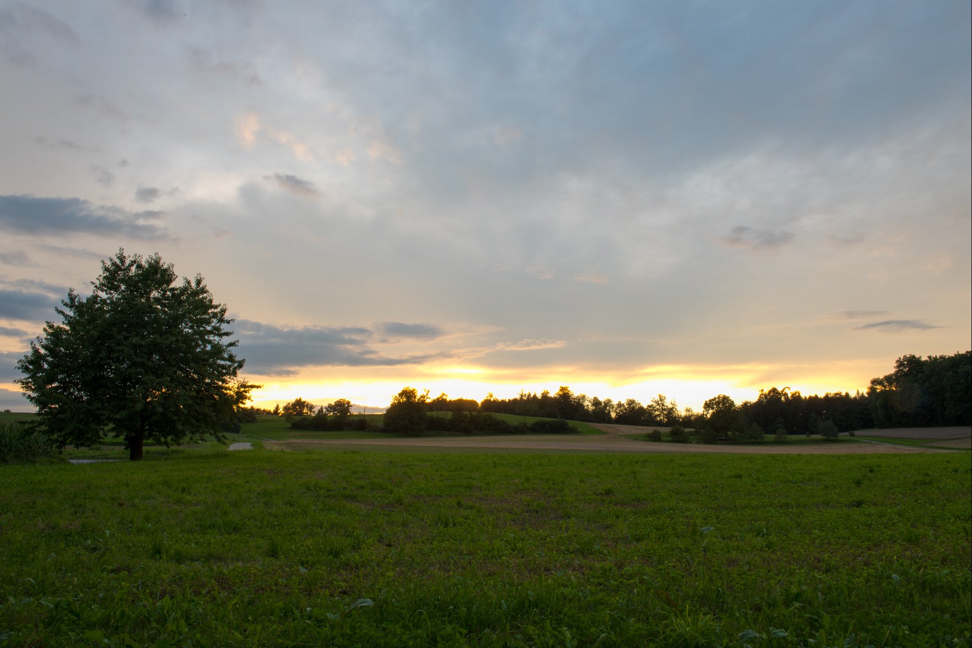 Testaufnahmen mit der Nikon D810 bei Abenddämmerung.